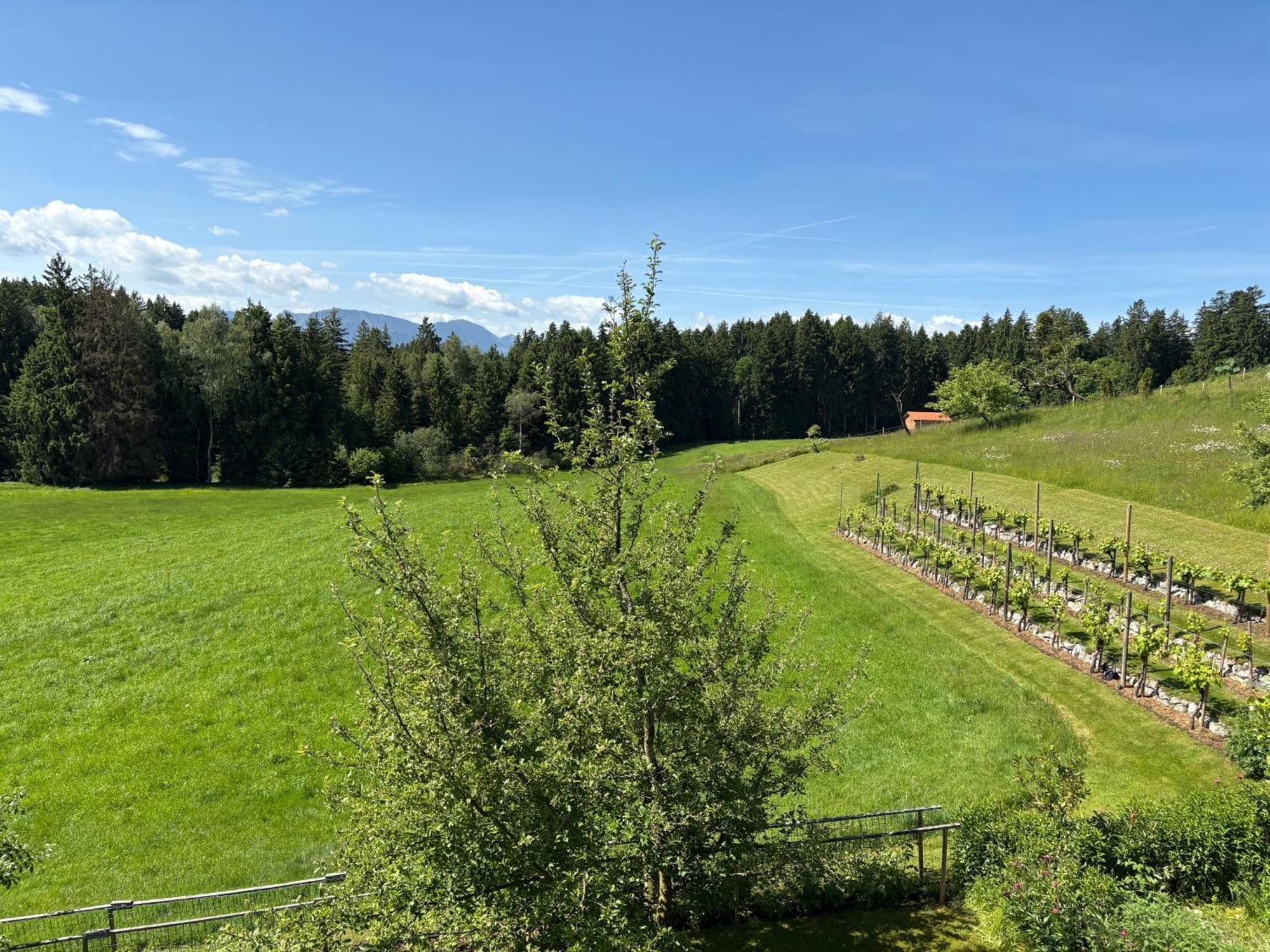 Am Weinberg Lejlighed Rimsting