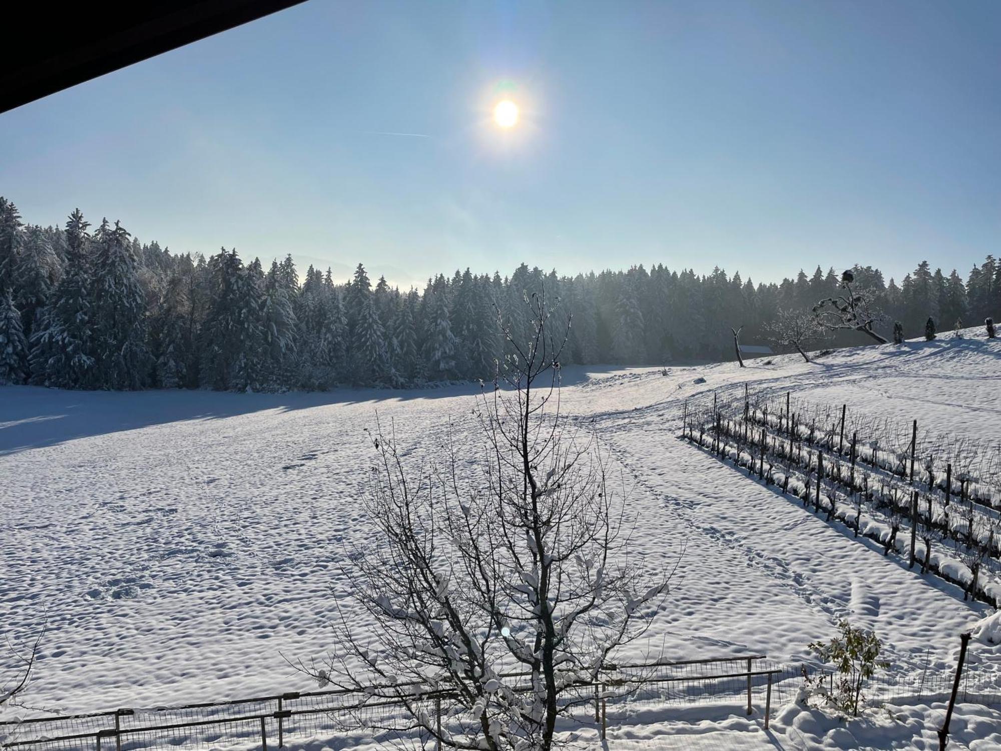 Am Weinberg