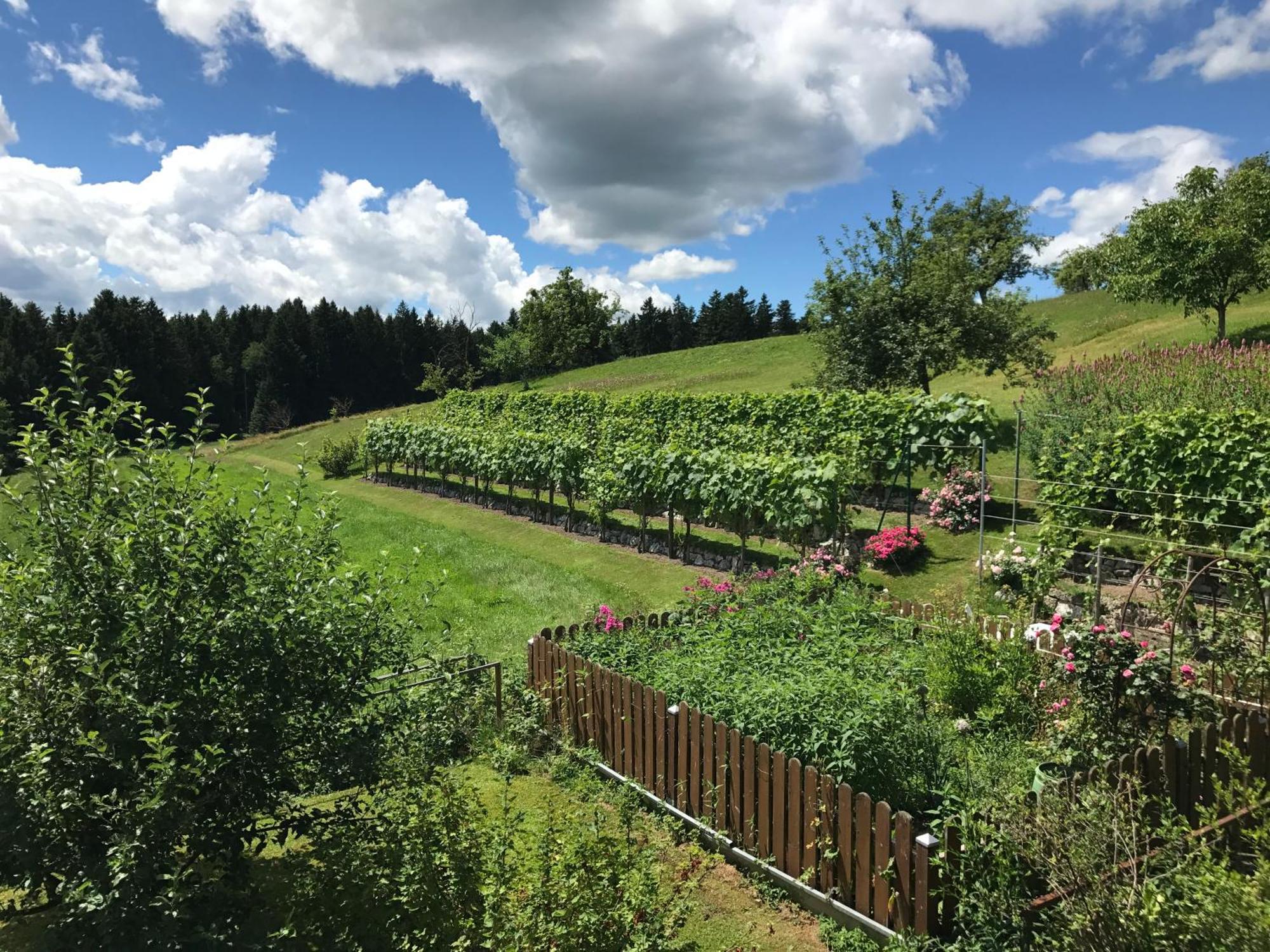 Apartment Am Weinberg Rimsting