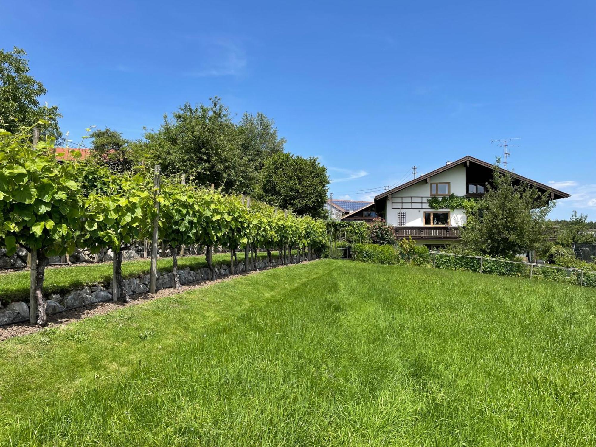 Am Weinberg * Rimsting